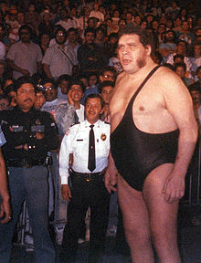 Andr the Giant